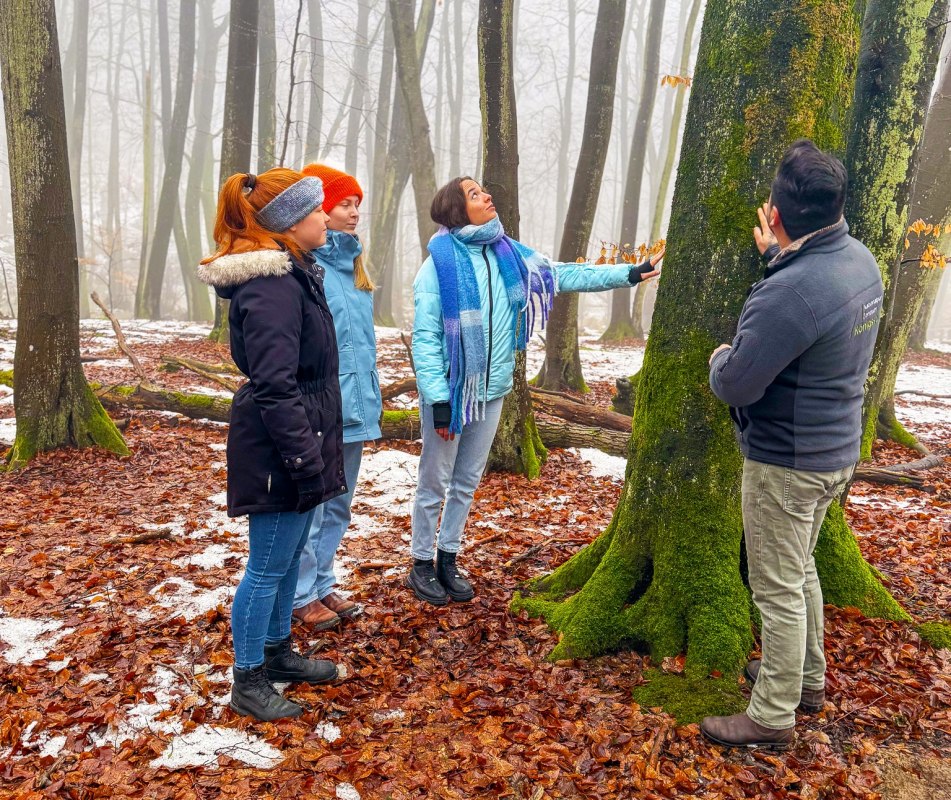 &copy; Nationalaprk-Zentrum K&Ouml;NIGSSTUHL