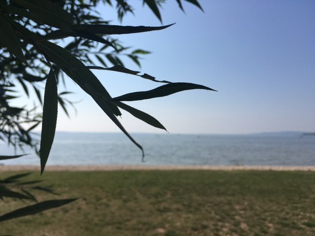 Verchen // &copy; Groh