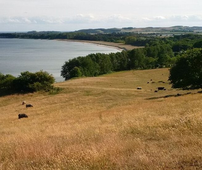 die weitläufigen, kräuterreichen Südhänge, © R.F. Leipzig die weitläufigen, kräuterreichen Südhänge, © R.F. Leipzig