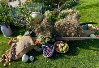 © Kartoffelfest.jpeg © Kartoffelfest.jpeg