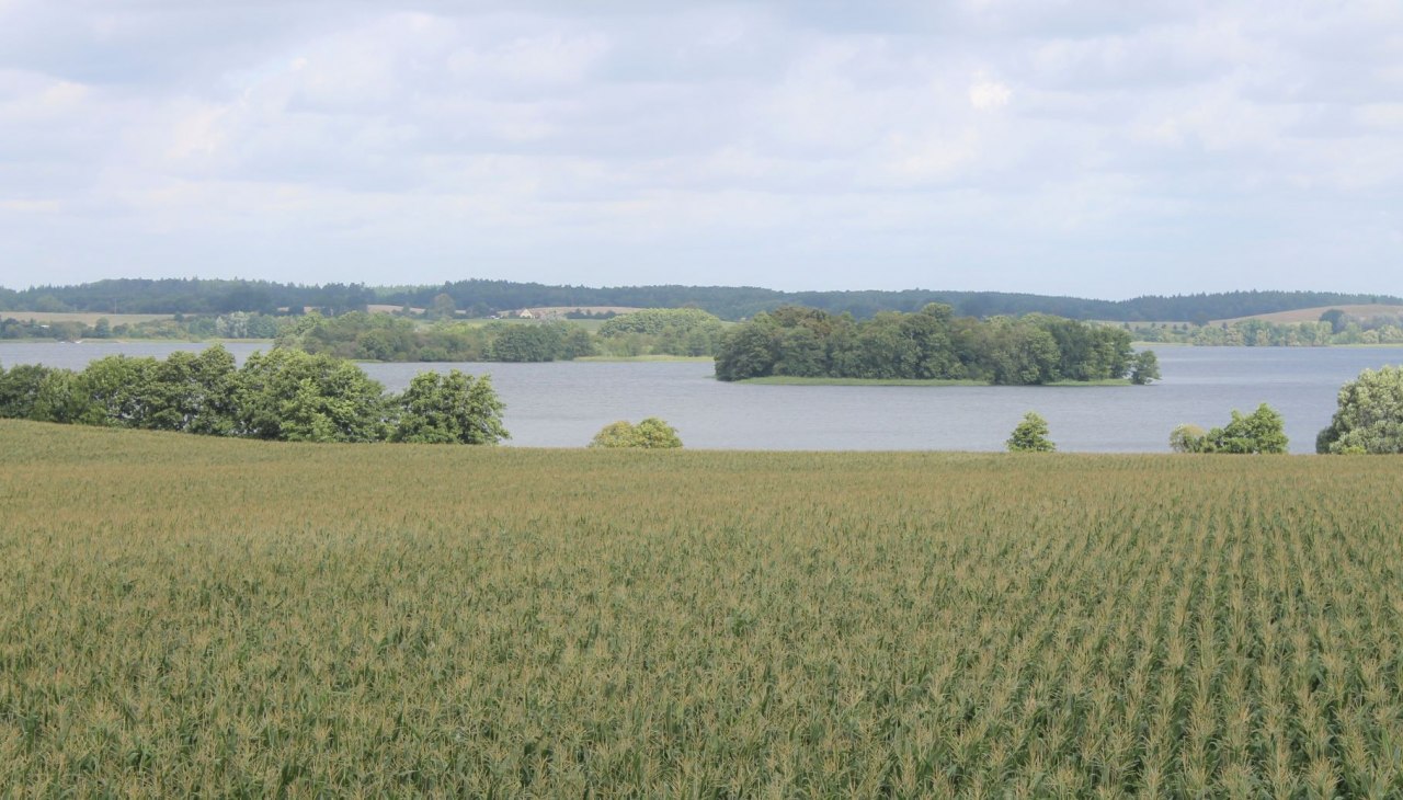 Wundervolle Ausblicke auf Inseln und Halbinseln der Krakower Seenlandschaft, © Touristinformation Krakow am See Wundervolle Ausblicke auf Inseln und Halbinseln der Krakower Seenlandschaft, © Touristinformation Krakow am See