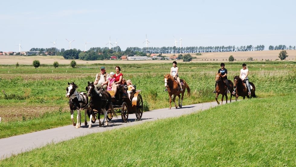 Bij Hof Thomsen in Gro&szlig; Kordshagen kun je paardrijden en koetsrijden., &copy; Hof Thomsen
