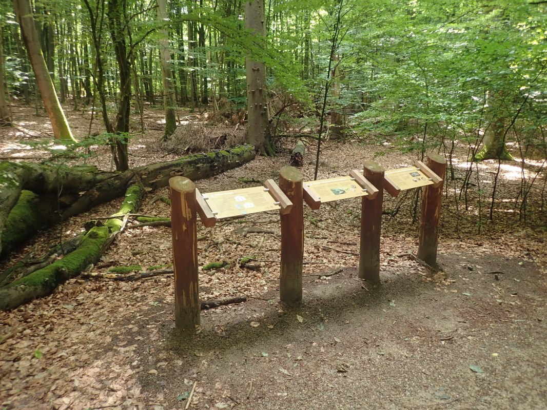 &copy; U. Me&szlig;ner