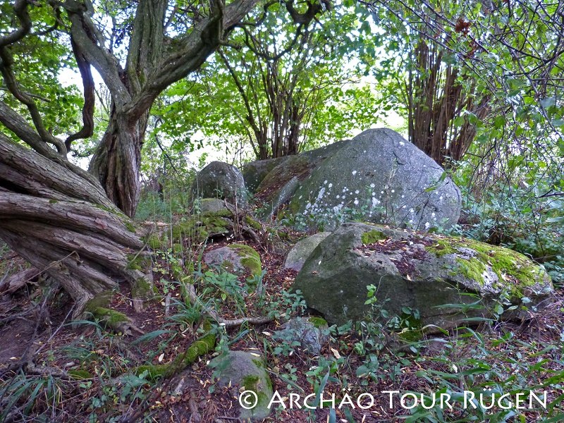 Verborgen in de struiken liggen de overblijfselen van de megalithische graftombe "Teetsbusch". // © Archäo Tour Rügen Verborgen in de struiken liggen de overblijfselen van de megalithische graftombe "Teetsbusch". // © Archäo Tour Rügen