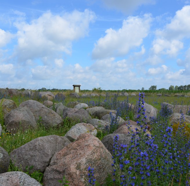 Findlingsgarten/ Mammut bei Carwitz, &copy; Kurverwaltung Feldberger Seenlandschaft