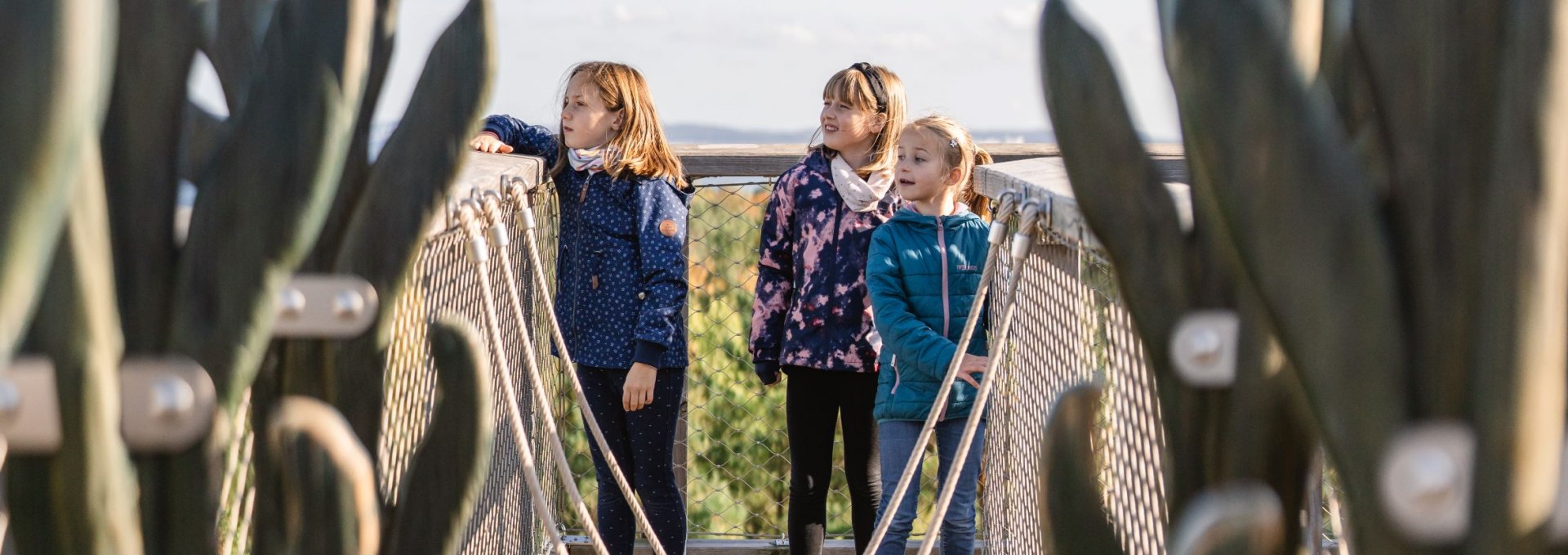 Drei Kinder stehen auf einer H&auml;ngebr&uuml;cke zwischen zwei geschnitzten Holzskulpturen auf einem Baumwipfelpfad.