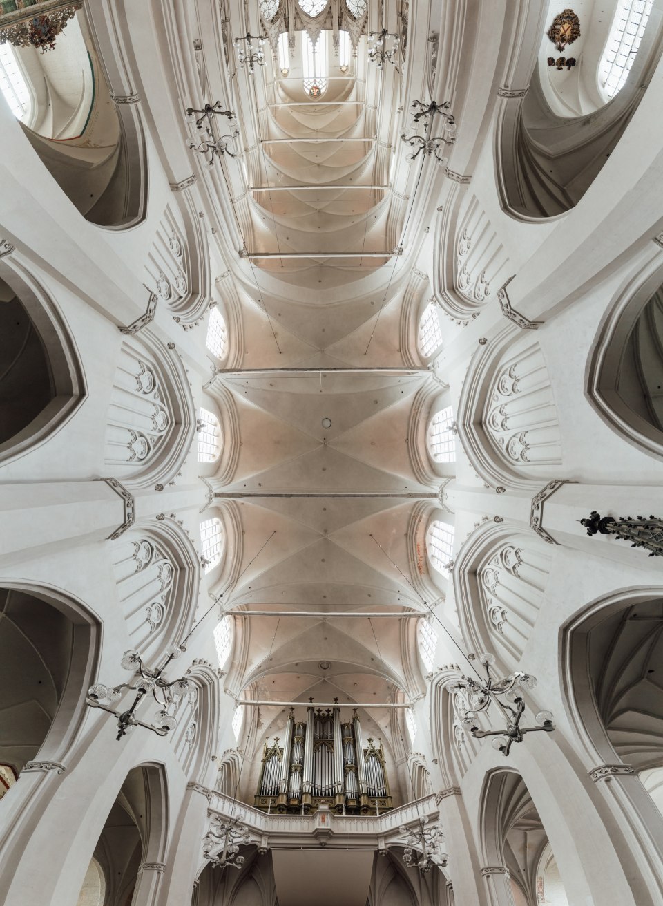 Das Kirchenschiff des Doms St. Nikolai in Greifswald von unten geht der Blick geradeaus nach oben.
