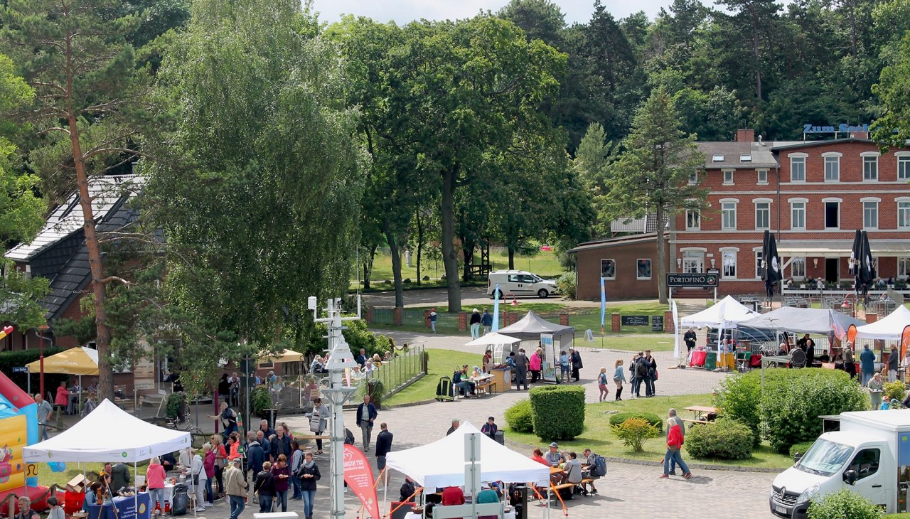 01_MBerndt_Mittsommer_2024_1800, © Nationalpark Vorpommern 01_MBerndt_Mittsommer_2024_1800, © Nationalpark Vorpommern