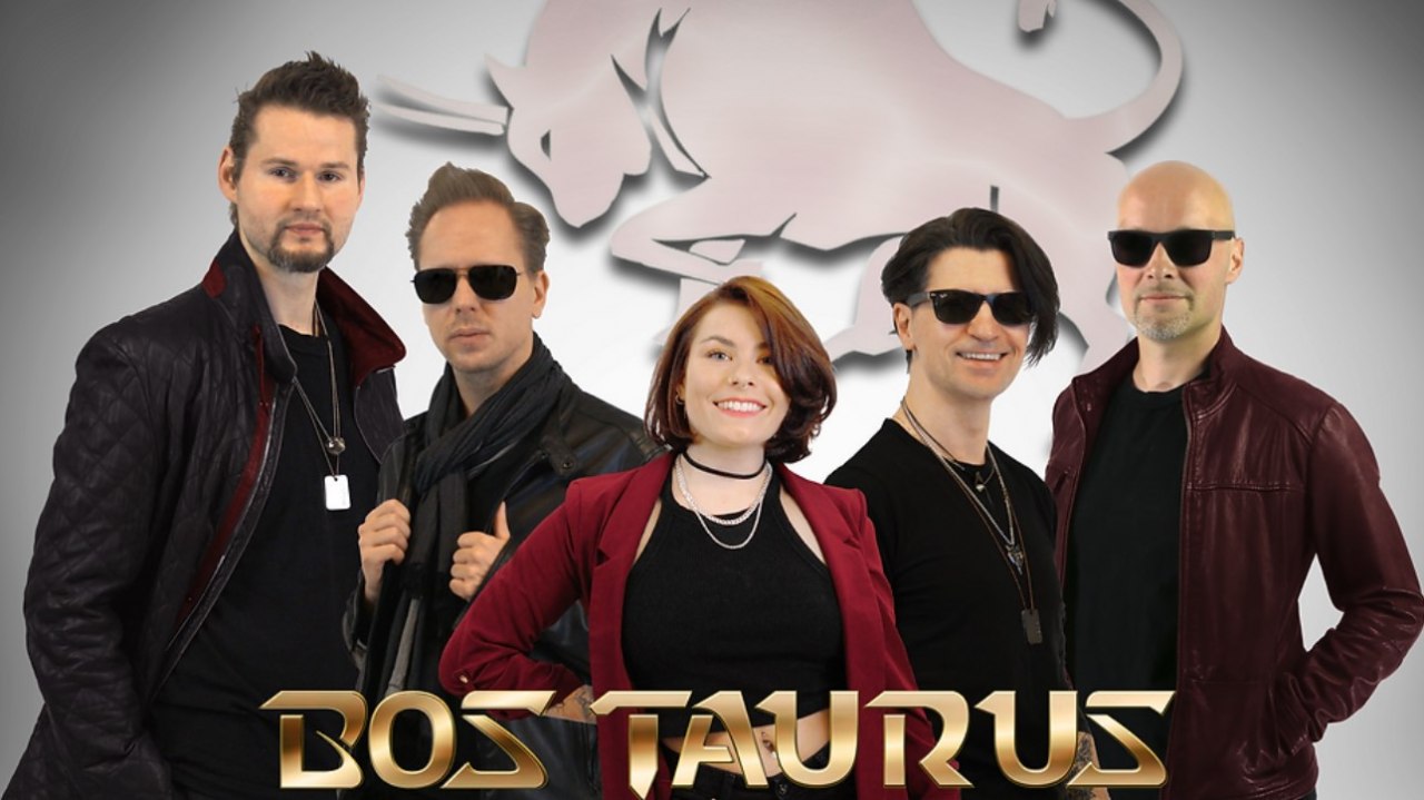 Bos Taurus Bos Taurus