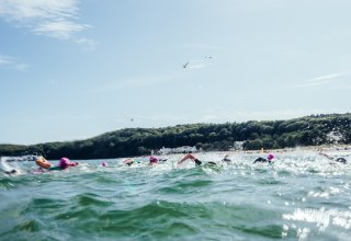 © Binzer Bucht Tourismus © Binzer Bucht Tourismus