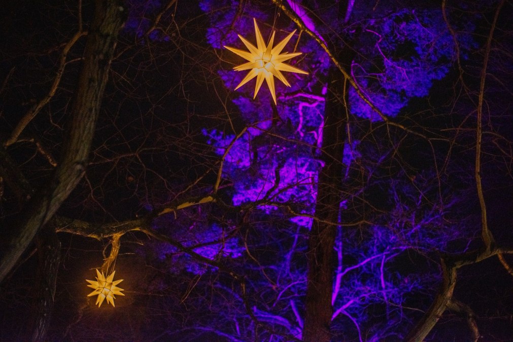 Binzer Weihnachtsmarkt »Engel, Licht & Meer«, © Binzer Bucht Tourismus