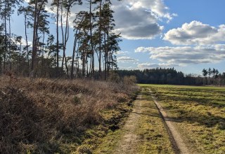 Streckenabschnitt an den Peenewiesen // &copy; Vincent-Gregor Schulze