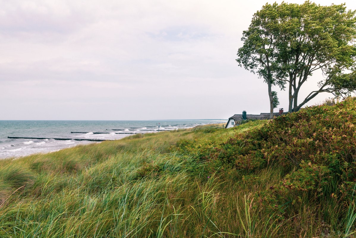 Pure Idylle in den D&uuml;nen von Ahrenshoop, &copy; TMV/S&uuml;&szlig;