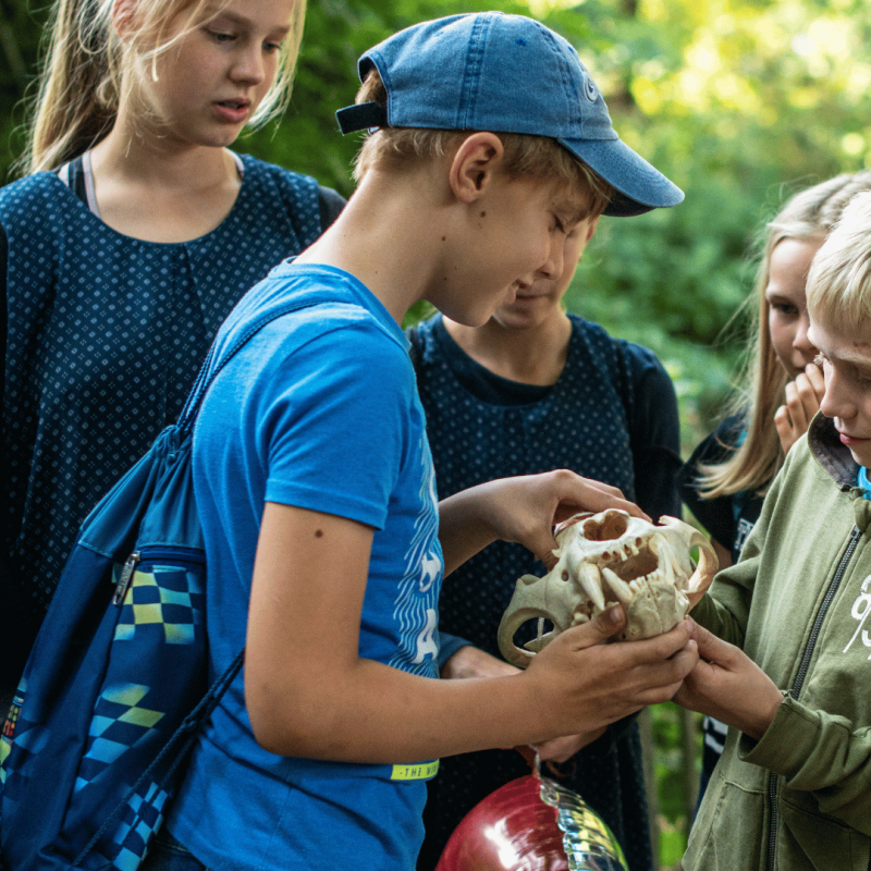 &copy; Zoo Schwerin