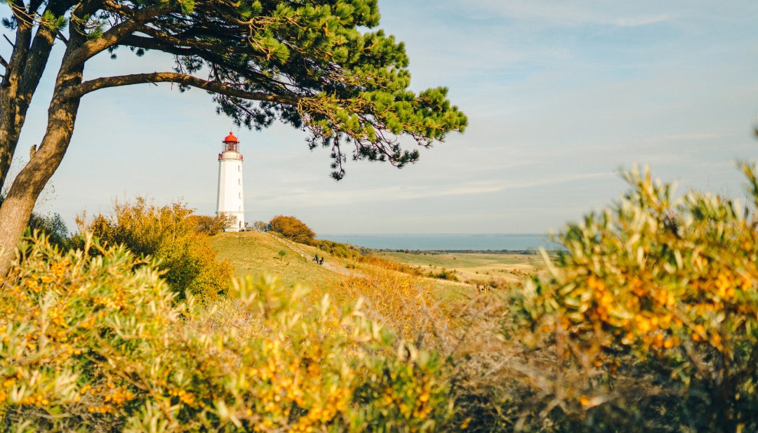 Ein Postartenmotiv schlechthin: Der Leuchtturm Dornbusch ist das Wahrzeichen der Insel Hiddensee. // © MV-T/Petermann Ein Postartenmotiv schlechthin: Der Leuchtturm Dornbusch ist das Wahrzeichen der Insel Hiddensee. // © MV-T/Petermann