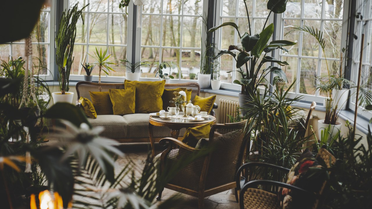 Das Schmuckst&uuml;ck im Herrenhaus Viecheln ist der Wintergarten // &copy; Till Kleine-M&ouml;ller