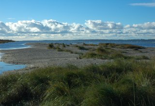 &copy; Nationalparkamt Vorpommern