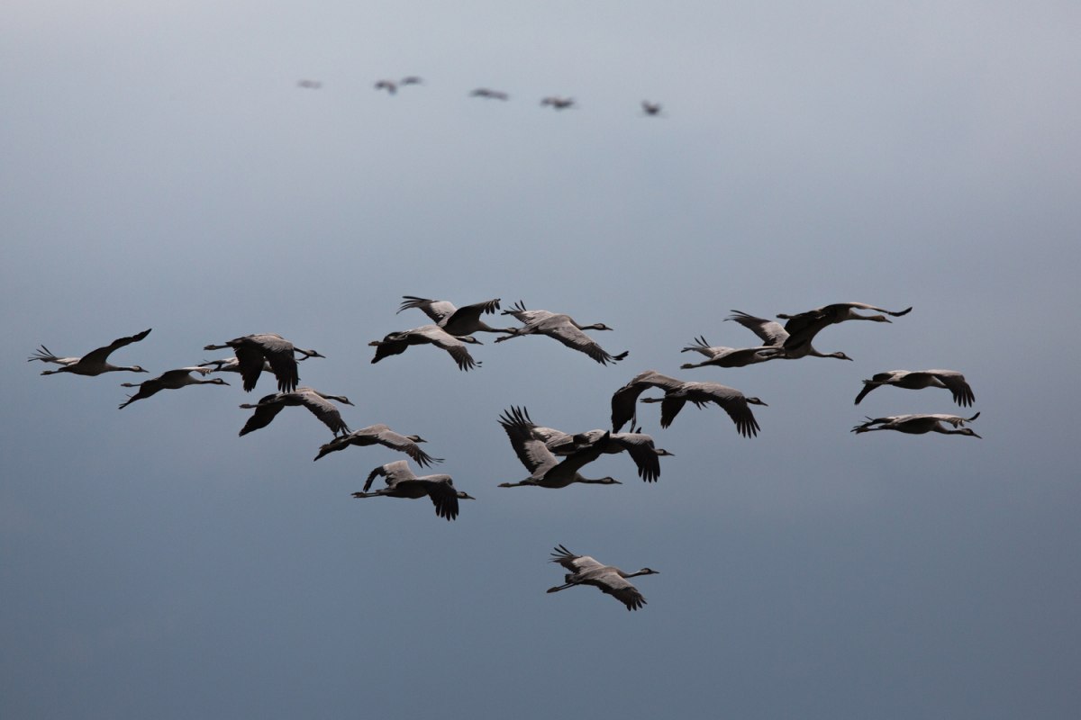 © Arndt Gläser © Arndt Gläser