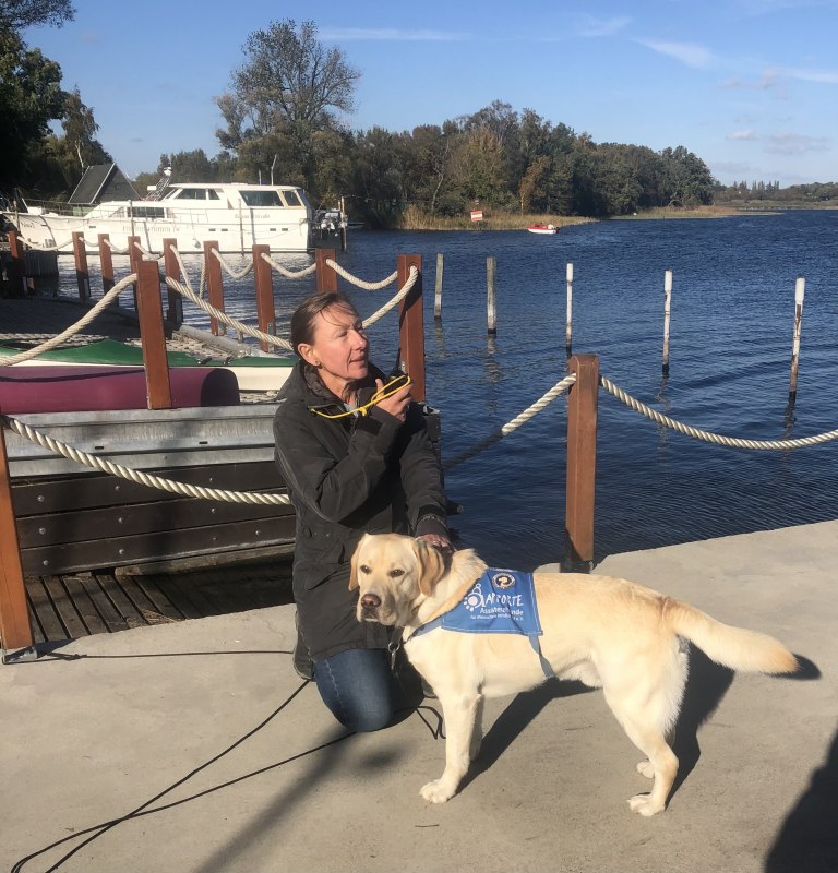 © Plauer Hai-Live e. V. © Plauer Hai-Live e. V.