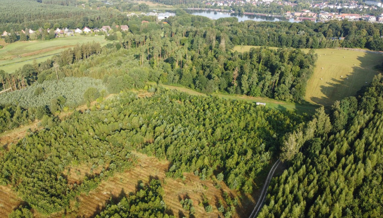Klimawald Fleesensee Luftbild, &copy; Landesforst MV