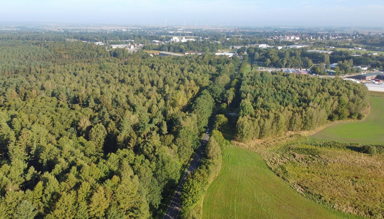 Blick auf Bützow, © Landesforst MV Blick auf Bützow, © Landesforst MV