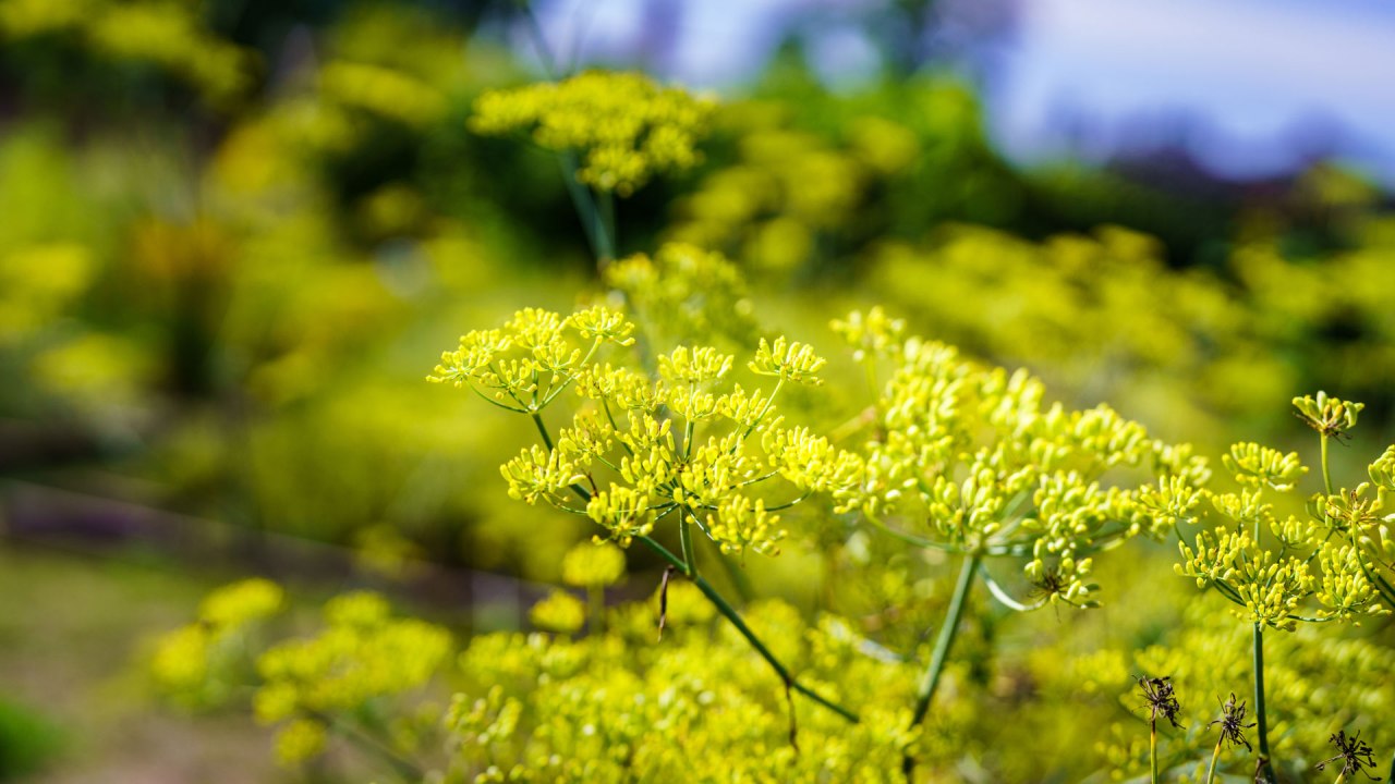 &copy; Andr&eacute; Wirsig