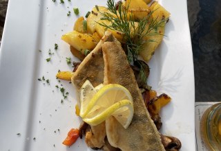 &copy; S&uuml;dliche Boddenk&uuml;ste