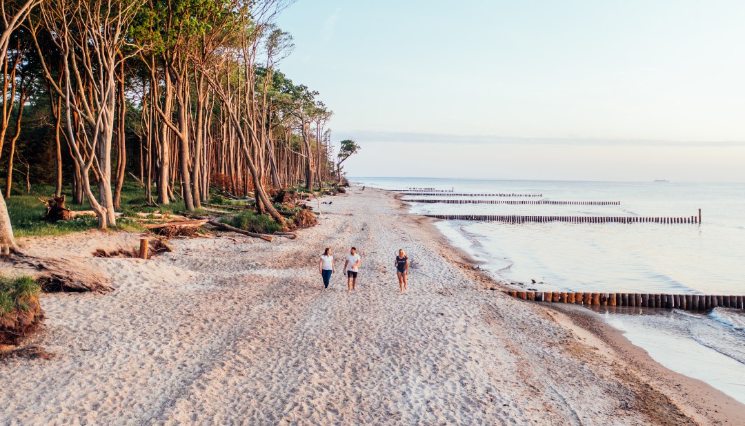 Drei Personen gehen am Strand spazieren. Auf der linken Seite befindet sich der K&uuml;stenwald und auf der rechten Seite ist die Ostsee. 