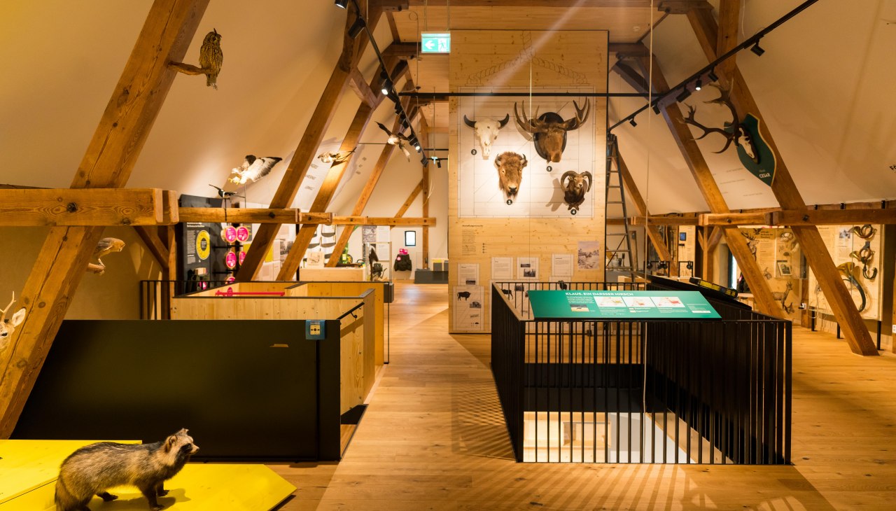 MUSEUM Alte Oberf&ouml;rsterei Born, &copy; Moritz Kertzscher