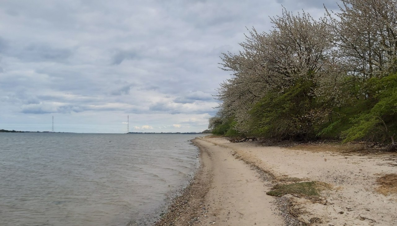 Devin, © TZ HST / Kredl Devin, © TZ HST / Kredl