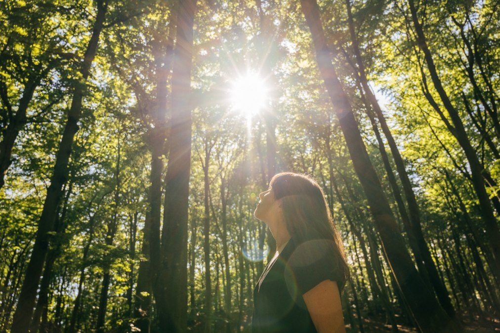 Waldbaden: Shinrin Yoku, © Binzer Bucht Tourismus Waldbaden: Shinrin Yoku, © Binzer Bucht Tourismus