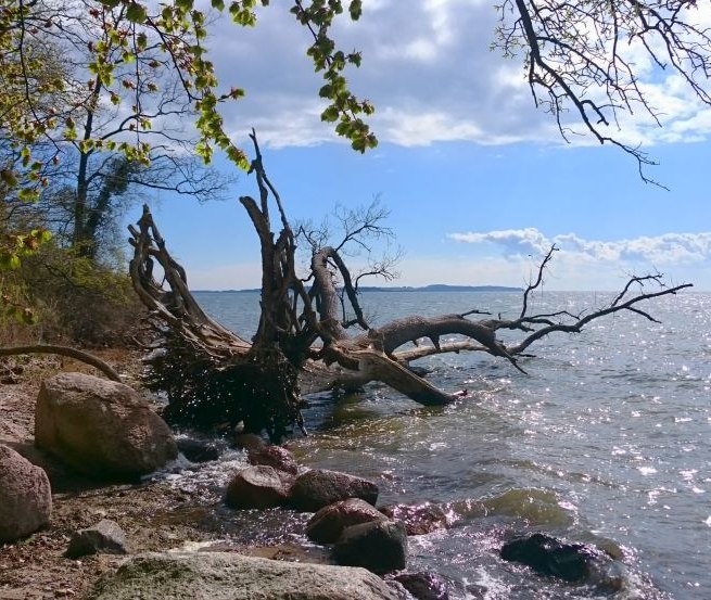 Station 10: Besinnung an den Wassereichen, &copy; TMV/UB