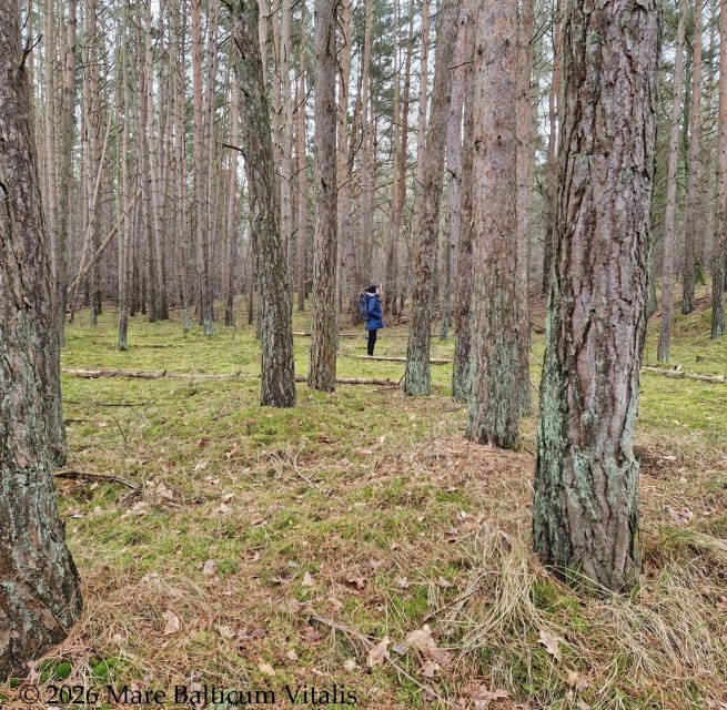 Mare Balticum Vitalis - Begleitende Fastenwoche // &copy; Mare Balticum Vitalis, Inh. Janine Hahn