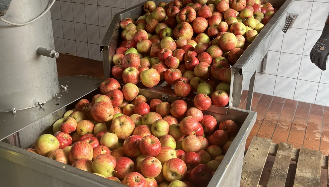 Mosterei_Äpfel, © Andreas Guba Mosterei_Äpfel, © Andreas Guba