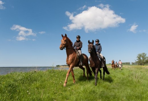 Zwischen Ostsee und Mecklenburgische Seenplatte durch das Land reiten // &copy; MV-T/Frank Hafemann