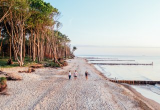 Strandidylle in der Rostocker Heide, © TMV/Gänsicke Strandidylle in der Rostocker Heide, © TMV/Gänsicke