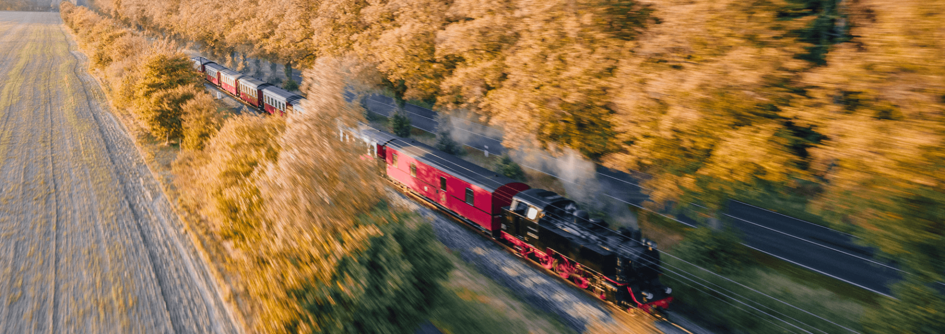 Eine Dampflok der Mecklenburgischen B&auml;derbahn &ldquo;Molli&rdquo; f&auml;hrt durch eine von goldenen Herbstb&auml;umen ges&auml;umte Allee, umgeben von Feldern und Natur.