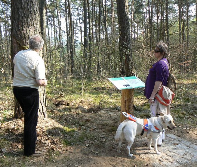 &copy; Nationalparkamt M&uuml;ritz/Kaiser