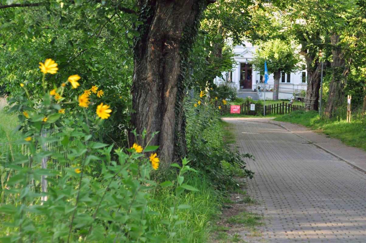 Ein lauschiges Pl&auml;tzchen... Wer mit dem Fahrrad von Barth nach Stralsund oder umgekehrt unterwegs ist, kommt gar nicht an uns vorbei., &copy; Christa Dregger