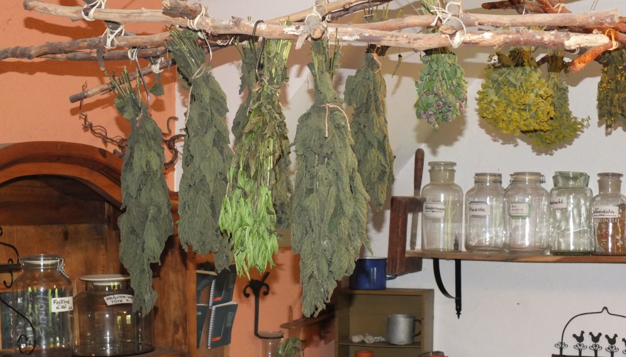 Kruiden worden voorzichtig gedroogd, © M. Hagemann Kruiden worden voorzichtig gedroogd, © M. Hagemann