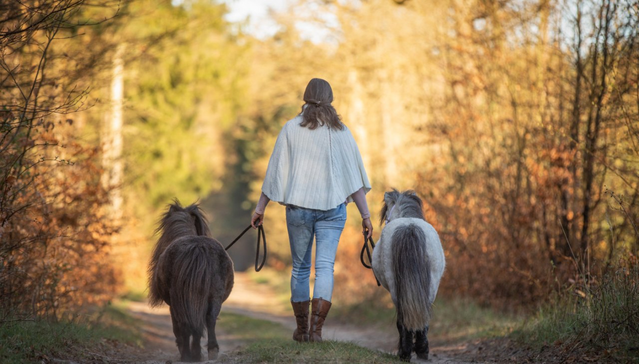 Spaziergang mit Ponys, © Anniemal Fotografie