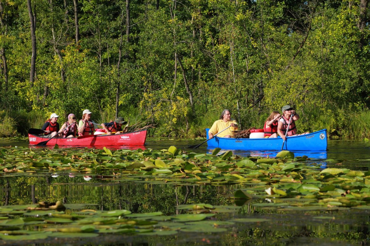 geführte Kanutour ins Seerosenparadies ab Kanubasis Mirow // © SeenLandAgentour GmbH geführte Kanutour ins Seerosenparadies ab Kanubasis Mirow // © SeenLandAgentour GmbH
