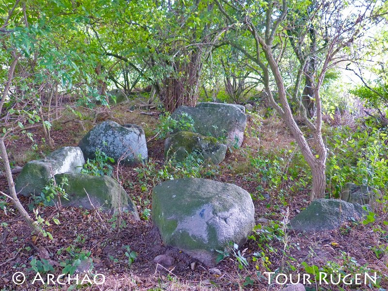 Blick auf das Großsteingrab "Teufelsstein" bei Seelvitz // © Archäo Tour Rügen Blick auf das Großsteingrab "Teufelsstein" bei Seelvitz // © Archäo Tour Rügen