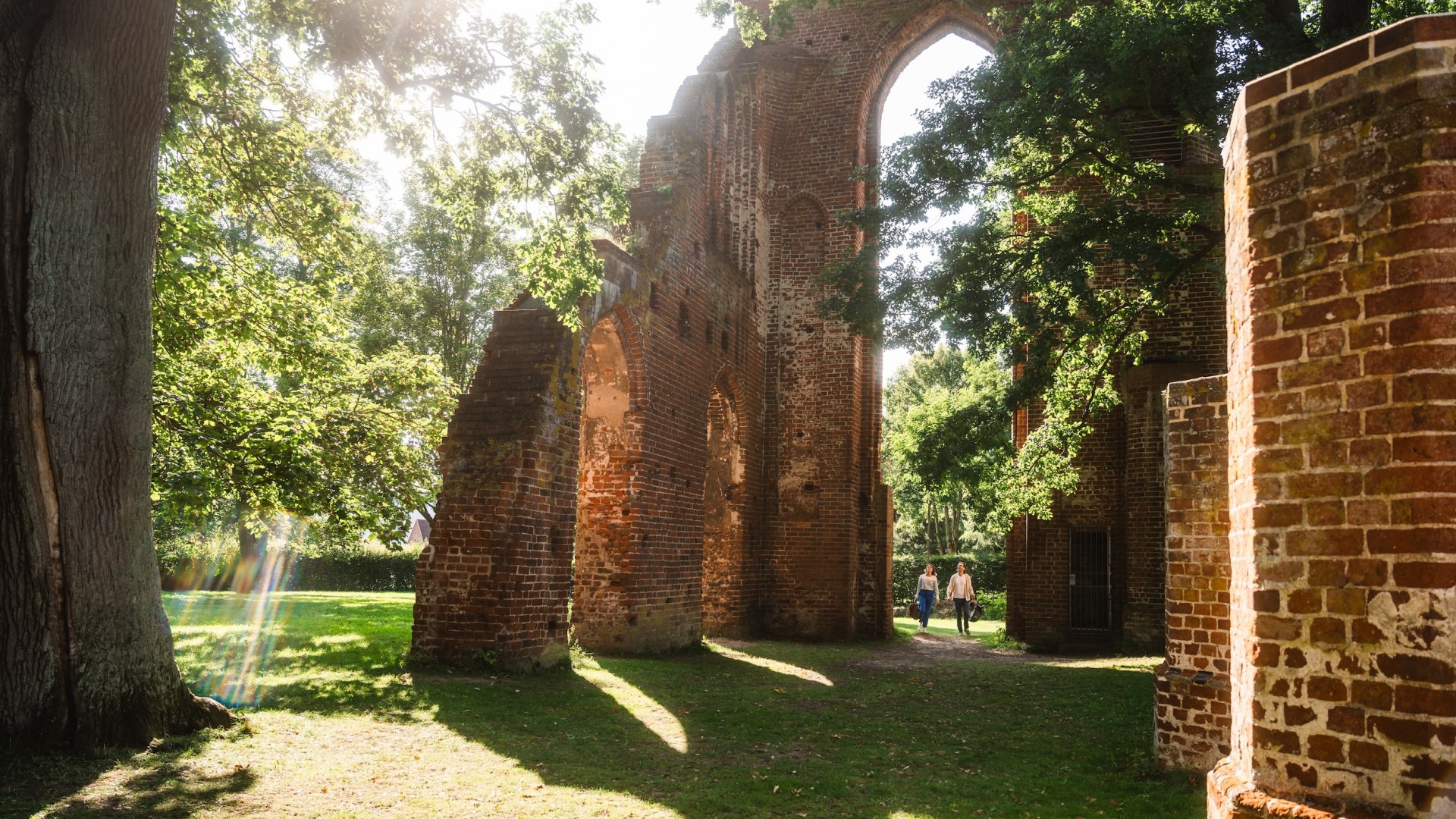 Die Backsteinruine Eldena bei Greifswald zwischen B&auml;umen und Sonnenschein