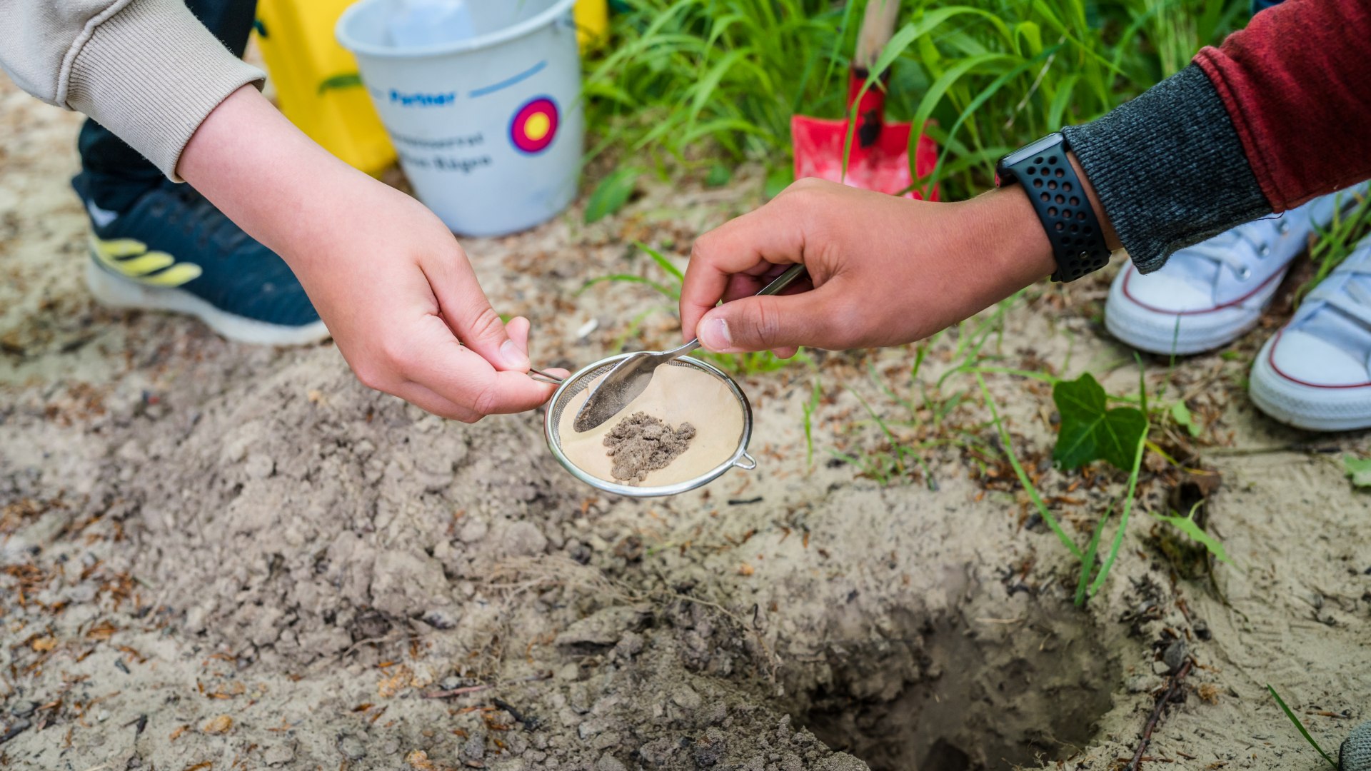 Es werden Waldproben genommen f&uuml;r das Experiment mit Sieb.