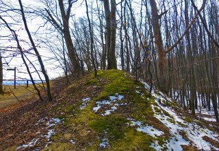 © Archäo Tour Rügen © Archäo Tour Rügen