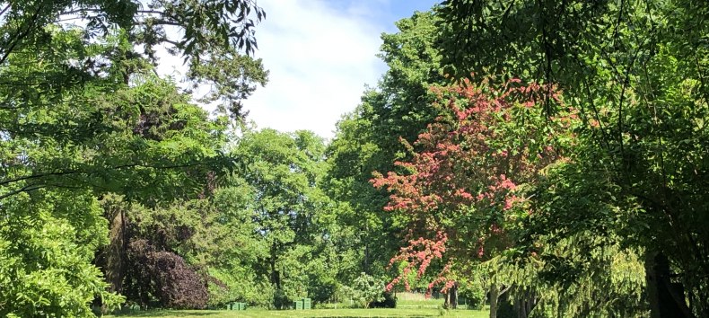 © Gutshaus Behrenshagen © Gutshaus Behrenshagen