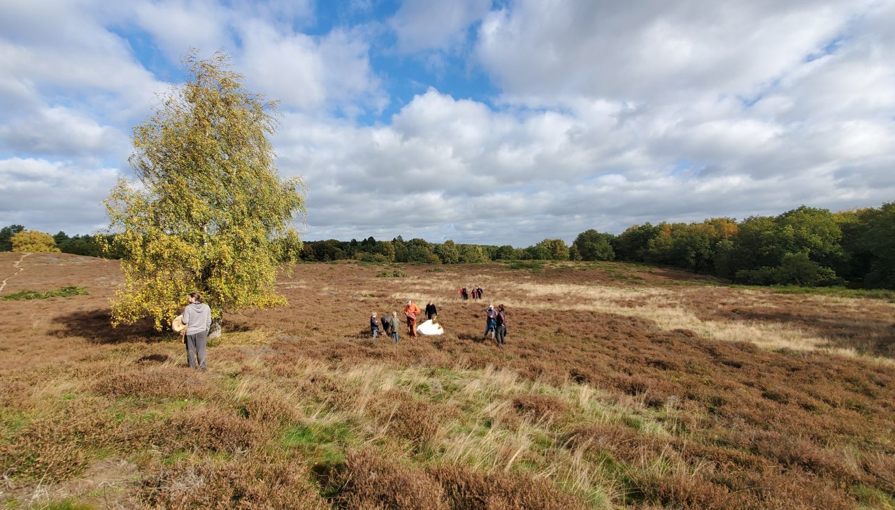 Heideonderhoud 2025, © D. Foitlänger Heideonderhoud 2025, © D. Foitlänger