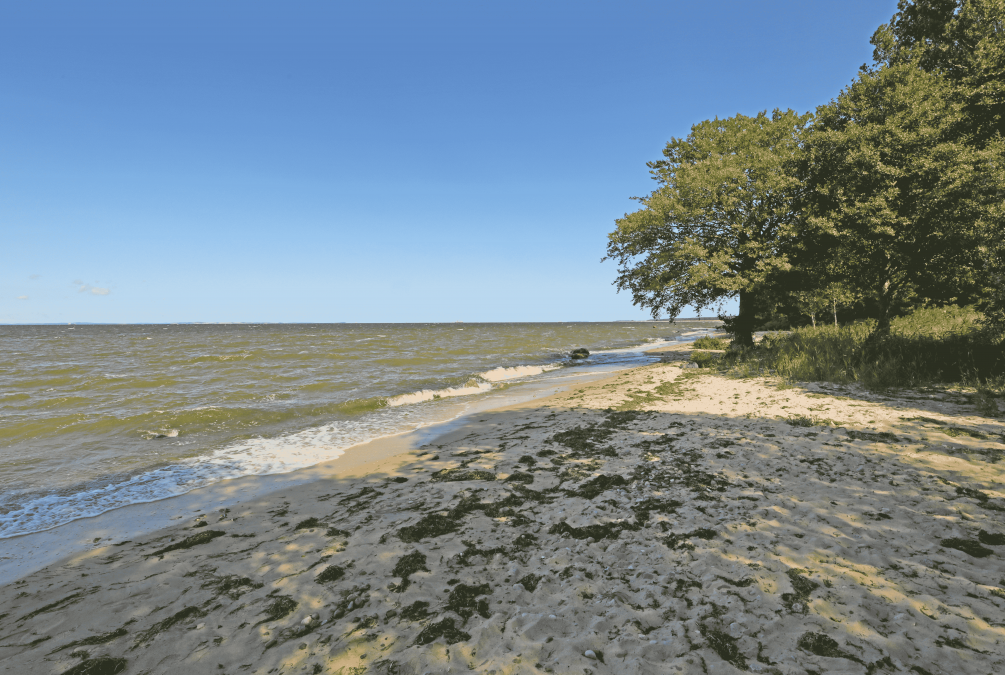 Sandstrand, © TMV/Gohlke Sandstrand, © TMV/Gohlke