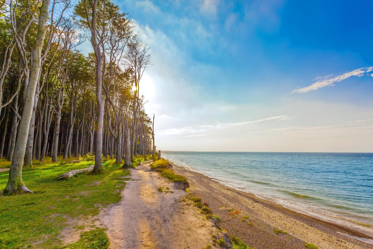 Gespensterwald Ostseebad Nienhagen // © OBN Gespensterwald Ostseebad Nienhagen // © OBN